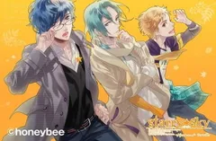 Starry☆Sky~After Autumn~Portable 初回限定版 (特典 スペシャルUMD/初回限定版特別小冊子 同梱) - PSP