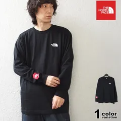 希少 ノースフェイス THE NORTH FACE Tシャツ 長袖 ロンT バックプリント M AXYS LS TEE メンズ トップス EUライン nf0a89fz
