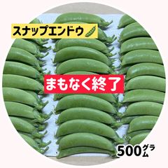 【まもなく終了】新鮮スナップエンドウ 500㌘