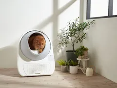 2025年最新】CATLINK scooper pro-xの人気アイテム - メルカリ 