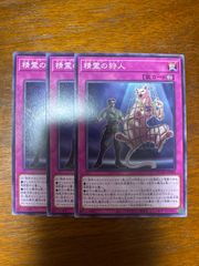 遊戯王　精霊の狩人　ノーレア