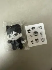 [すぐ発送] theboyz ドボイズ ジュヨン　10cm ぬいぐるみ　이주깡 2025年最新】the boyz ジュヨン ぬいぐるみの人気アイテム