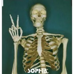 2025年最新】SOPHIA 進化論の人気アイテム - メルカリ