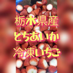 楽天市場】【ふるさと納税】 楽天限定 いちご とちあいか 訳あり