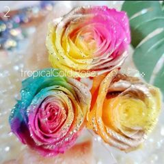 ローズアソート❁⃘*.ﾟ3輪 花材 プリザーブドフラワー