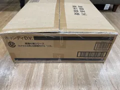 【カートン売り】悪魔の実シリーズ 「ヒトヒトの実」幻獣種モデル”ニカ” (1個入) 食玩・チューインガム (ワンピース)6個セット