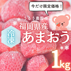 完売しました✨【減農薬】即日冷凍！福岡県産冷凍いちご 1kg