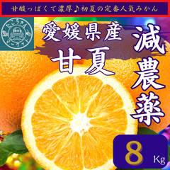 【絶品スイーツづくりどうぞ♪中身８㎏】愛媛県産　減農薬　甘夏　みかん　8Kg