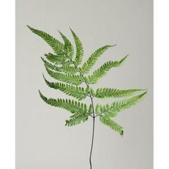 Item thumbnail for item a5c57b4b-2bc3-425c-84e8-c97af8ab9324