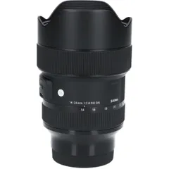 2024年最新】SIGMA 14-24mm F2.8 DG DNの人気アイテム - メルカリ