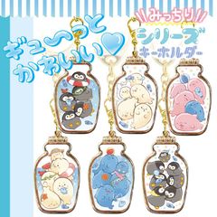 みっちりボトル海系　3種類ランダムアソート【公式】サザン・DS