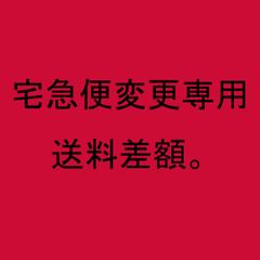【60サイズ用】差額運賃専用　宅急便・航空便へ変更します。