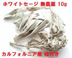 ホワイトセージ 無農薬 （10g） カルフォルニア産 枝付きクラスター 浄化
