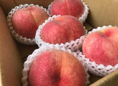 13 山形県産 桃 おどろき 約5キロ 訳あり❣️ - メルカリ