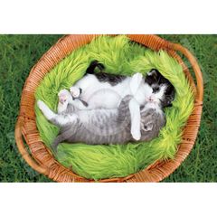 エポック社 300ピース ジグソーパズル いきもの/ペット ねこ おやすみにゃん (26×38cm) 26-355s のり付き ヘラ付き 点数券付き EPOCH