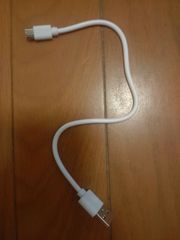 白 USB TypeC 充電ケーブル 全長29cm