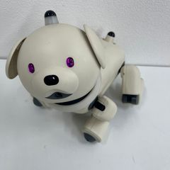 AIBO ERS-311 ラッテ　ジャンク AIBO ERS-311 ラッテ ジャンク