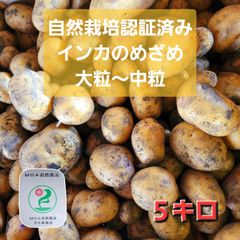 値下げ中❗【自然栽培認証済み】インカのめざめ５キロ