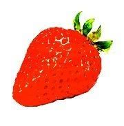 着物いちご - メルカリShops