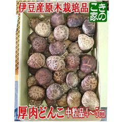 ★今季最終間近★無農薬★伊豆産原木栽培品★肉厚中粒どんこ4～5㎝生椎茸1㎏