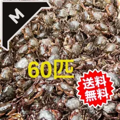 2025年最新】釣り餌 冷凍カニの人気アイテム - メルカリ