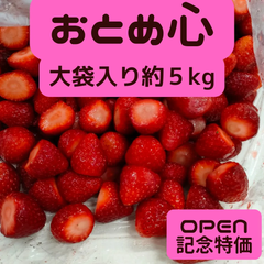 【オープン記念！第二弾】山形の苺「おとめ心」訳ありいちご　大袋約5kg 冷凍いちご　業務用 ファミリー向け　加工用