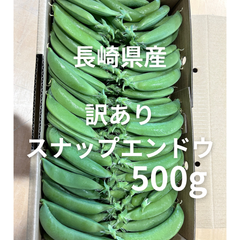 プロ農家がつくる　訳あり　スナップエンドウ　長崎県産　500g