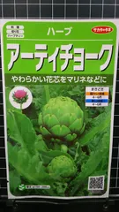 2025年最新】アーティチョークの人気アイテム - メルカリ