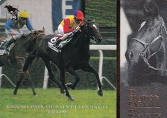 エルコンドルパサー：年度代表馬/最優秀5歳以上牡馬
