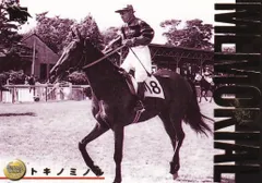 ダイイチルビー　メモリアル　サラブレッドカード　トレーディングカード 2025年最新】Yahoo!オークション -ダイイチルビーの中古品・新品