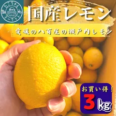 【ご家庭用★国産レモン】愛媛県産　八百屋の瀬戸内レモン　約3Kg