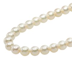 【本物保証】 鑑付 超美品 ネックレス 約40.8g シルバー環 アコヤパール 約8.0～8.5ミリ あこや真珠冠婚葬祭 ノーブランド No brand