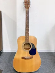 Aria　ADW-250 Acoustic Guitar Aria ADW-250 Sunburst SN 83478 with Soft Case | eBay