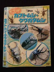 ○017357 レンタルUP◎DVD すごいぞ！カブトムシ・クワガタムシ 4431 ※ケース無