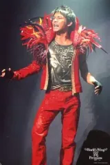 2025年最新】World's Wing 翼 Premiumの人気アイテム - メルカリ