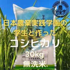 農業学校の【コシヒカリ】30kg　無洗米　令和5年産新米　お米30キロ