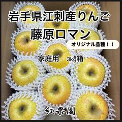 江刺産りんご　藤原ロマン　3kg箱 （家庭用）