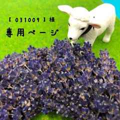 専用ページ【031009様】リース×2ケ