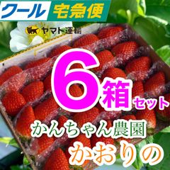 【新鮮朝採り】かんちゃん農園 甘いいちご 6箱