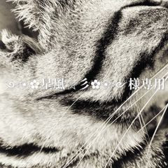 ༺❀✿星風☆彡✿❀༻様専用