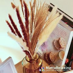 パンパスグラス Aセット Pampas grass Aドライフラワー