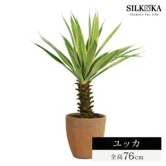 フェイクグリーン 小型 「 ユッカ 76cm シルカ（Silk-ka）」 おしゃれ リアル 人工観葉植物