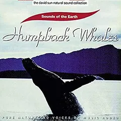 2025年最新】hump back cd 17の人気アイテム - メルカリ