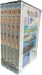 うみのおともだち たべちゃうぞ [DVD] 71bPcRHeAEL._UF350,350_QL50_.jpg