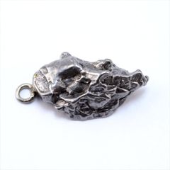 カンポデルシエロ 隕石 12.1g 鉄隕石 原石 ネックレス ペンダント トップ アクセサリー P2554