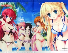 【中古】タペストリー 集合(5人/水着) B2タペストリー 「PS4ソフト ALIA’s CARNIVAL! サクラメントプラス」 ソフマップ購入特典