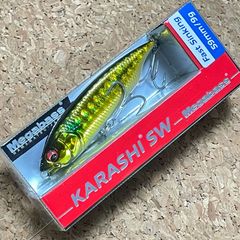 【予約注文品※YJ様※】 カラシSW FS 2個セット