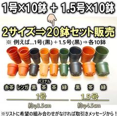 平日＊日中注文即日発送＊色を選べます＊ミニプラ鉢1号×10鉢＋1.5号×10鉢⇒合計20鉢セット販売＊お試しセット※1回限り＠フラワーショップ江口