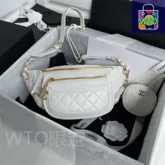 【Chanel】今日WTO！シャネル Ohanel AS 1077 多機能バッグ登場-MX18
