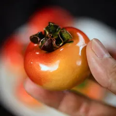 茶寵 紫砂 茶卓 彫刻 茶玩 装飾品 工芸品 美術品 置物 楽天市場】2個セット 茶寵 龍 置物 手作り 陶器 茶玩 茶ペット